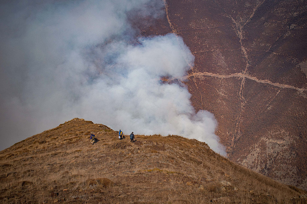 Forest fire in northern Iran